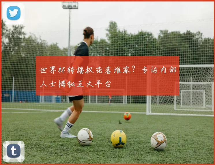 世界杯转播权花落谁家?专访内部人士揭秘五大平台