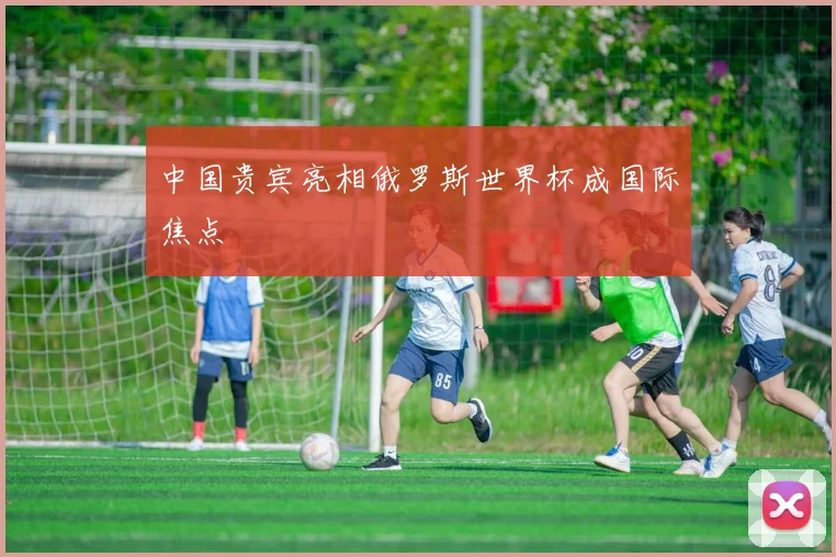 中国贵宾亮相俄罗斯世界杯成国际焦点