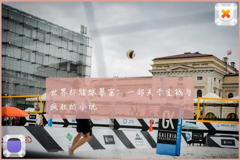 世界杯赌球暴富:一部关于金钱与疯狂的小说