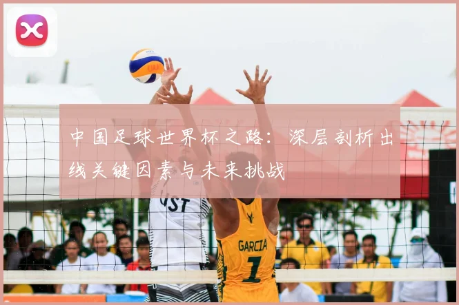 中国足球世界杯之路:深层剖析出线关键因素与未来挑战